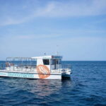 Valencia: Boat Tour with Swim Stop - The Breakdown: A Closer Look at the Experience