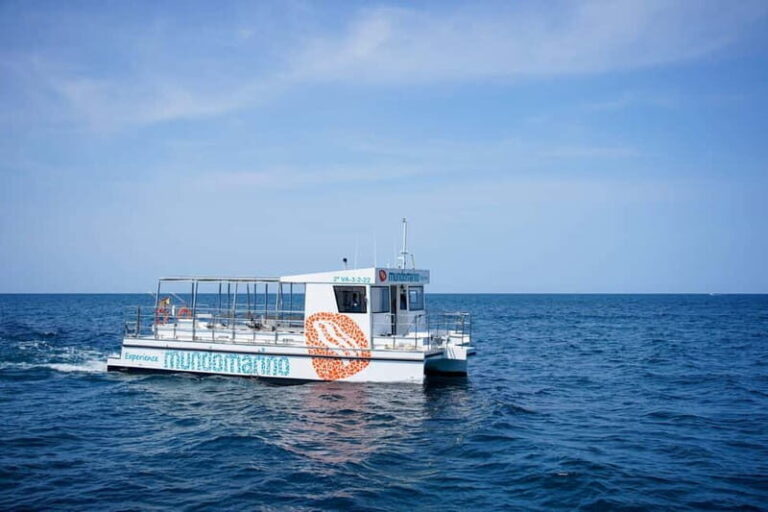 Valencia: Boat Tour with Swim Stop - The Breakdown: A Closer Look at the Experience