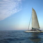 Valencia: Catamaran Adventure with Swimming Stop - Practical Details and Tips
