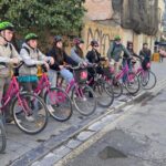 Valencia: Guided Private Bike Tour with Tapas and Drinks - Final Thoughts