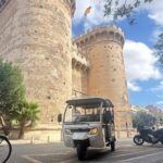 Valencia: Historical Tour by Tuk Tuk 1H - Summary: Who Should Book This Tour?