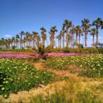 Valencia: Horchata Bike Tour - FAQ