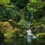 Valencia Natural Wonders: Exploring the Top 4 Waterfalls - The Value of This Tour