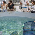 Valencia Oceanogràfic Entry with Backstage tour in Spanish - Practical Details: What You Need to Know