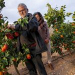 Valencia: Orange Farm and Orchard Trip with Tastings - Pricing and Value