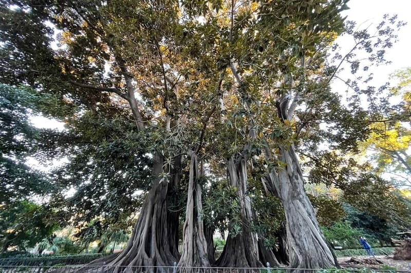 Valencia Parks: Private Tour on Bicycle, E-Bike or E-Step - The Benefits of a Private, Easy-Paced Tour