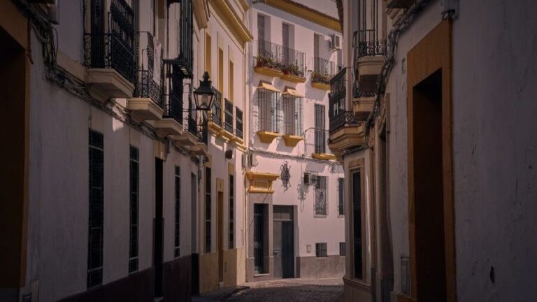Valencia - Private Historic walking tour - What to Expect from the Tour