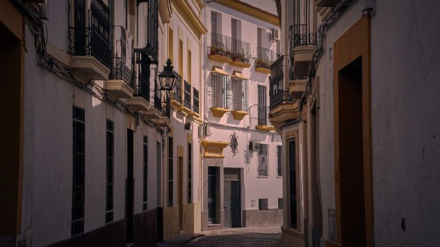 Valencia - Private Historic walking tour - What to Expect from the Tour