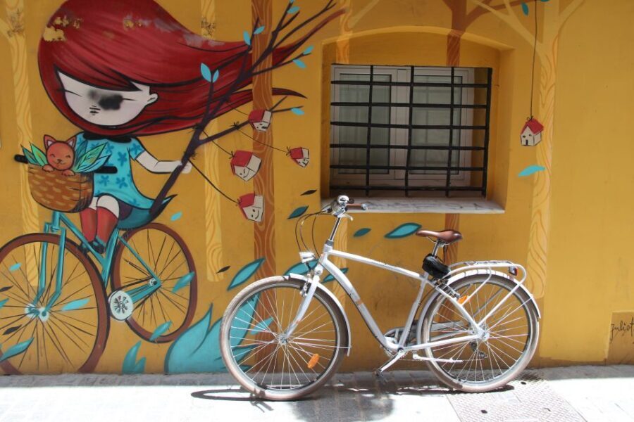 Valencia: Street Art Tour on Bicycle, E-Bike or E-Step - Key Points