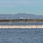Valencia: The Albufera Lake Self-Guided E-Bike Tour - What to Expect on the Tour