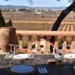 Valencia: Utiel-Requena Cave & Winery Day Trip with Tasting - Who Should Consider This Tour?
