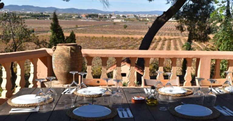 Valencia: Utiel-Requena Cave & Winery Day Trip with Tasting - Who Should Consider This Tour?