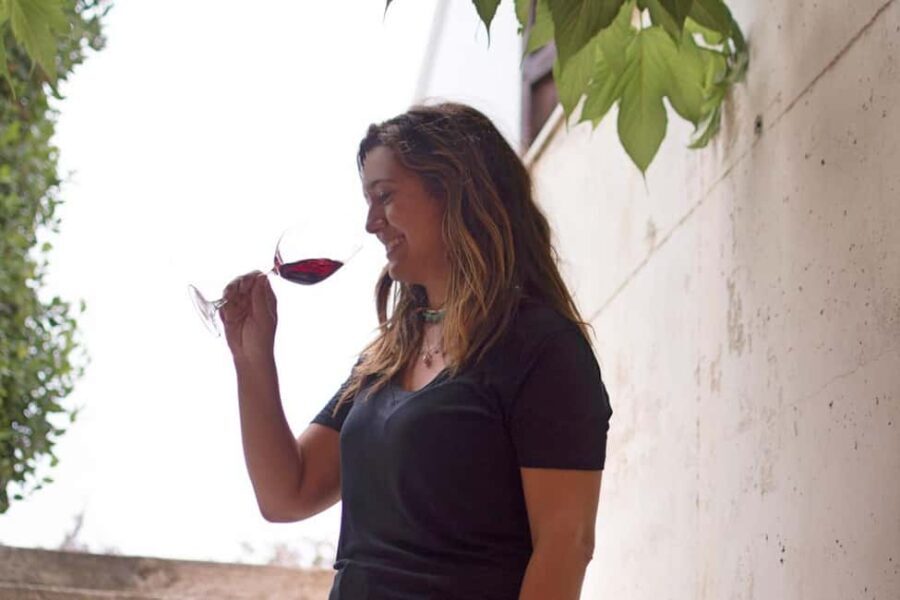 Valencia: Vineyard Tour, Local Wine Tasting and Appetizer - Tasting the Wines