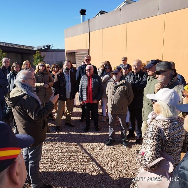 Valencia: Vineyard Tour with Local Wine Tasting & Appetizer - Practical Information and Tips