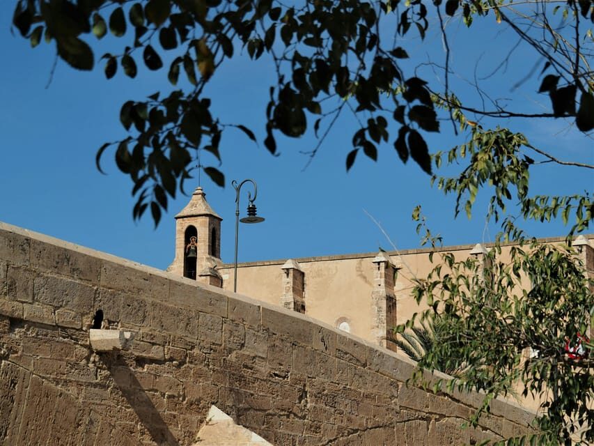 Valencia: Walking Tour of City Highlights with tastings - Value and Practical Considerations