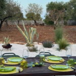 Valle d'Itria: Monet-Inspired Picnic in Olive Grove - The Experience Breakdown
