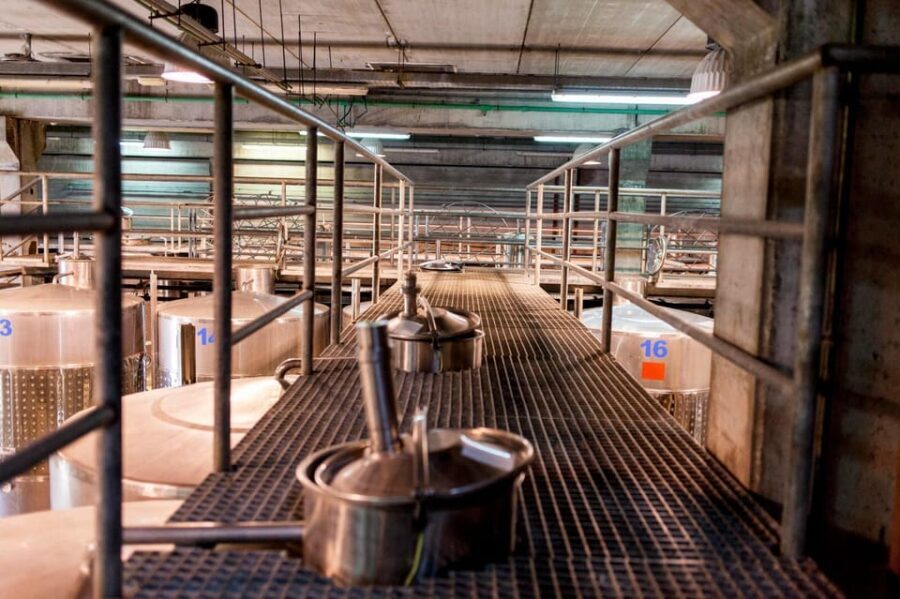 Valley of Tegueste: Wine Tour with Tasting at El Lomo Winery - Practical Details & Tips for Visitors