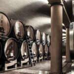 Valpolicella: Wine Tasting With A Sommelier and Light Lunch - Price, Value, and Overall Impression
