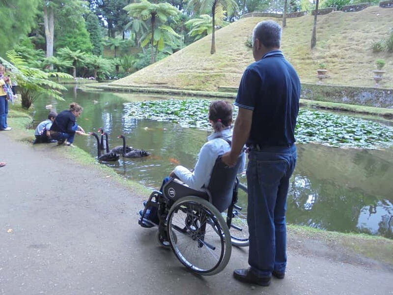 Van Tour Furnas (Full Day) - The Practicalities: What You Need to Know