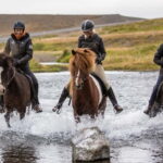 Varmahlid: 1-Hour Icelandic Horse Riding Tour - Who Will Love This Tour?