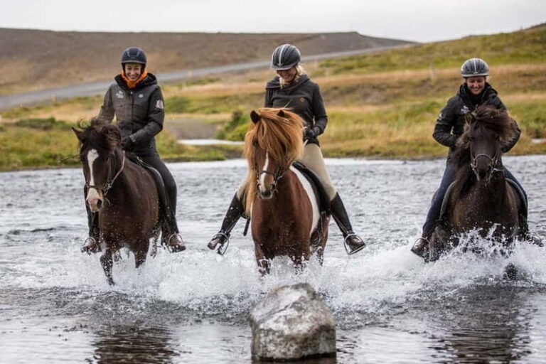 Varmahlid: 1-Hour Icelandic Horse Riding Tour - Who Will Love This Tour?