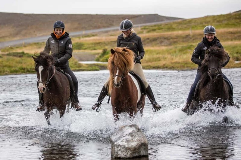Varmahlid: 1-Hour Icelandic Horse Riding Tour - Who Will Love This Tour?