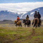 Varmahlid: Viking Horse Riding Tour - Who Is This Tour Best For?