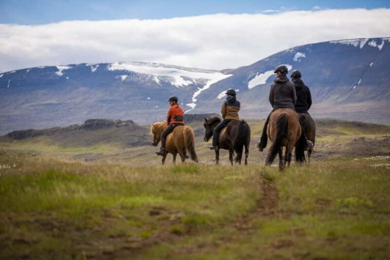 Varmahlid: Viking Horse Riding Tour - Who Is This Tour Best For?