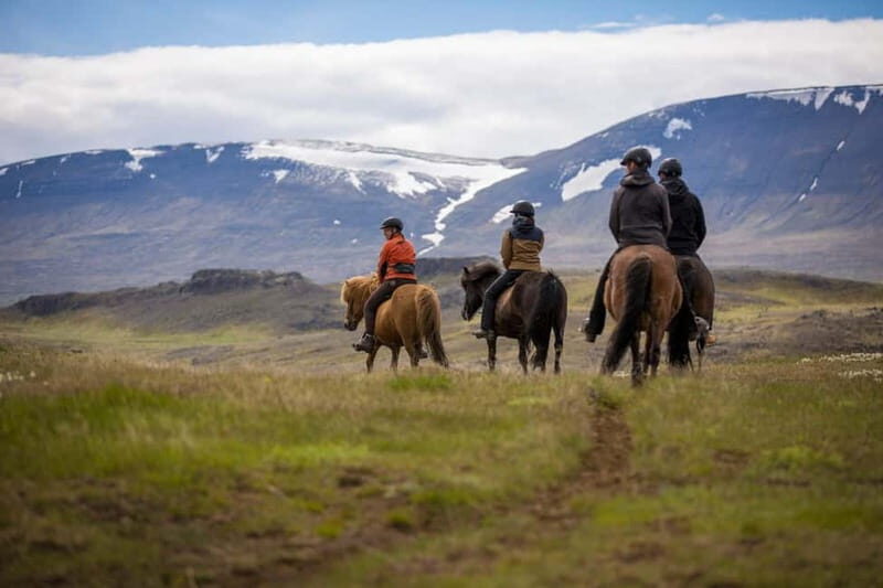 Varmahlid: Viking Horse Riding Tour - Who Is This Tour Best For?