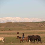 Vashlovani Nature Reserve: Horse Riding Tour - What to Expect During the Ride