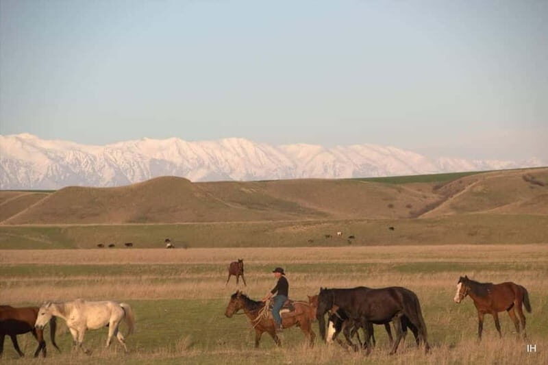 Vashlovani Nature Reserve: Horse Riding Tour - What to Expect During the Ride