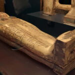 Vatican: Museums and Sistine Chapel Skip-the-line Tickets - Discovering the Belvedere Torso