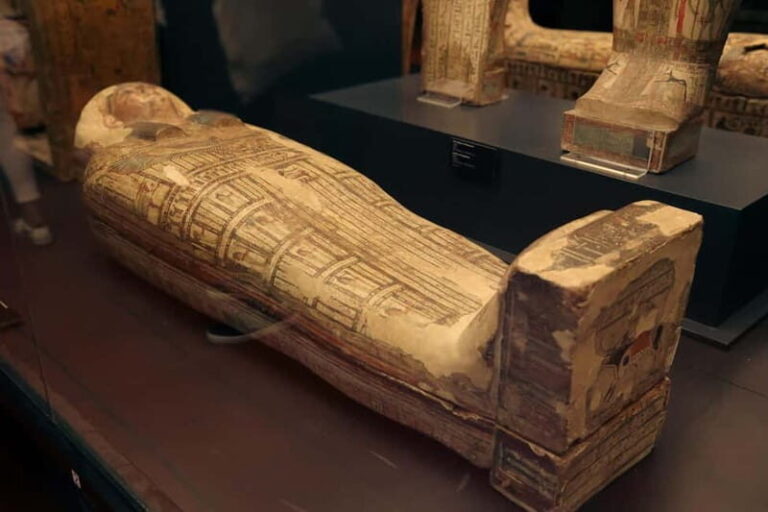 Vatican: Museums and Sistine Chapel Skip-the-line Tickets - Discovering the Belvedere Torso