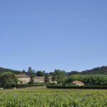 Vaucluse - Tasting & tour at Château Saint Estève: La Verticale - Who Will Enjoy This Tour?
