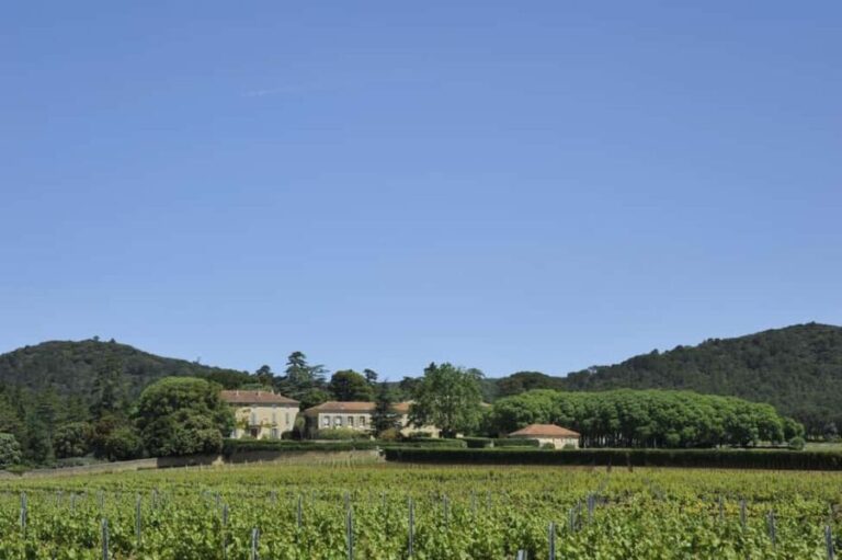 Vaucluse - Tasting & tour at Château Saint Estève: La Verticale - Who Will Enjoy This Tour?
