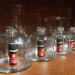 VENICE, FRANKINCENSE AND MYRRH! A JOURNEY ON AROMATICS TRADE - Who Should Book This Experience?