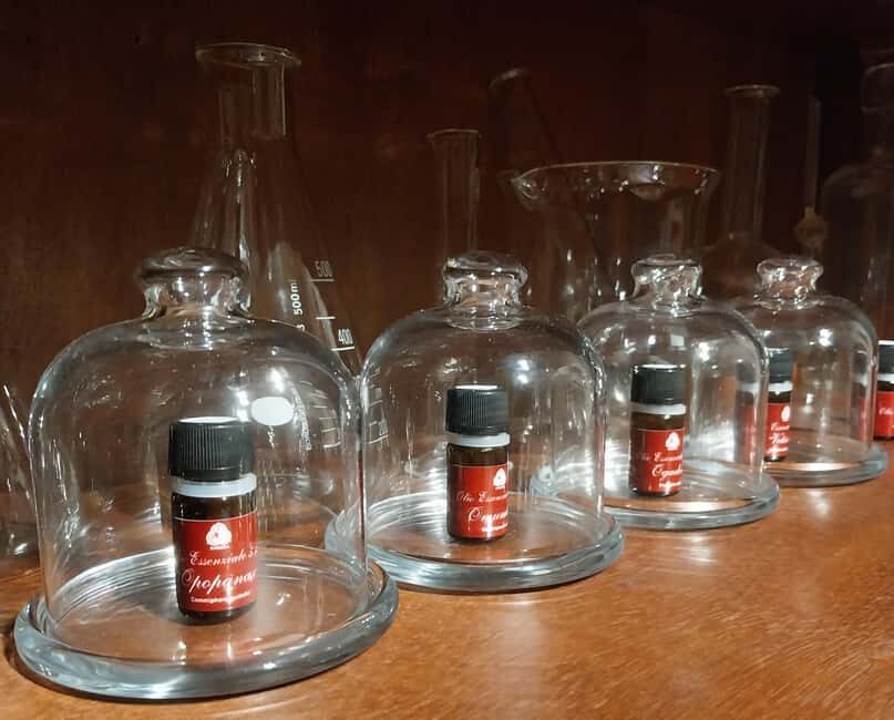 VENICE, FRANKINCENSE AND MYRRH! A JOURNEY ON AROMATICS TRADE - Who Should Book This Experience?