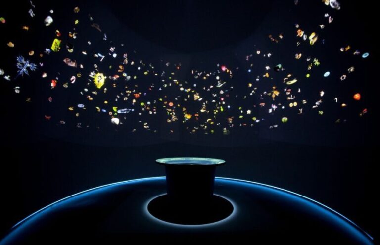 Venice: Natural History Museum Entry Ticket - Authentic Insights from Reviewers