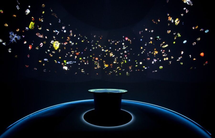 Venice: Natural History Museum Entry Ticket - Authentic Insights from Reviewers