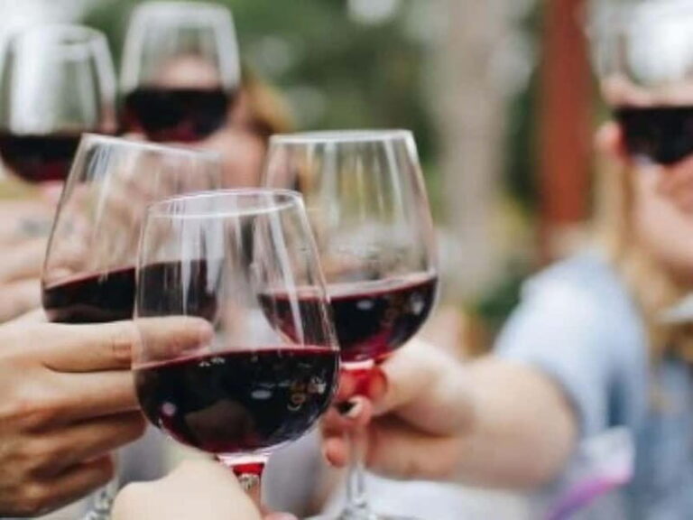 Venison & wine - What You Can Expect During the Evening