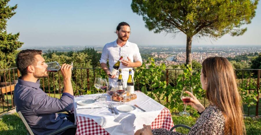 Verona: Wine Tasting with Snacks and Panoramic City Views - Who Will Love This Tour?