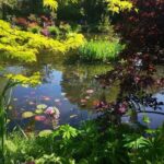 Versailles Palace and Giverny Private guided tour from Paris - How This Tour Stands Out