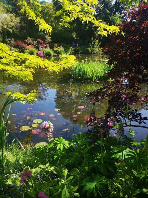 Versailles Palace and Giverny Private guided tour from Paris - How This Tour Stands Out