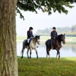 Versailles: Palace & Gardens Horseback Ride with Lunch - Final Thoughts