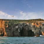 Vestmannaeyjar: 2 hour RIB boat Tour - An In-Depth Look at the Westman Islands RIB Tour