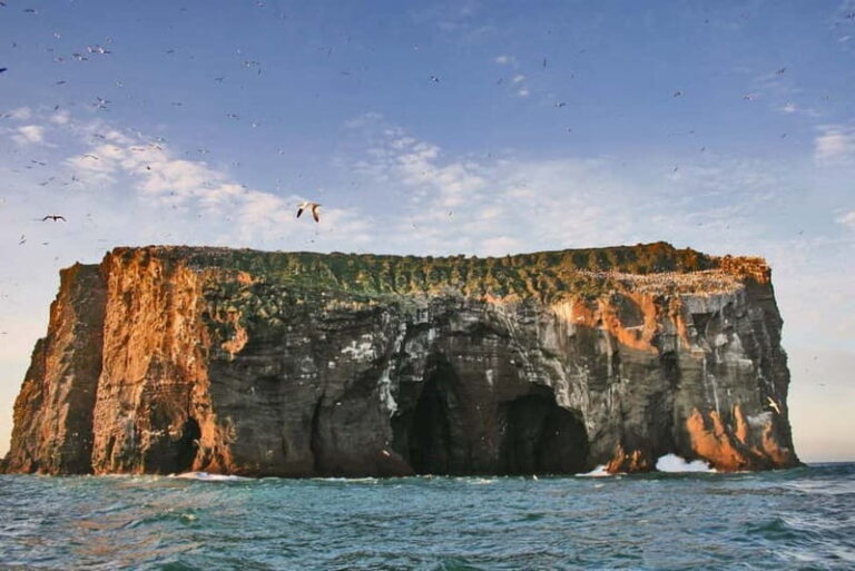 Vestmannaeyjar: 2 hour RIB boat Tour - An In-Depth Look at the Westman Islands RIB Tour