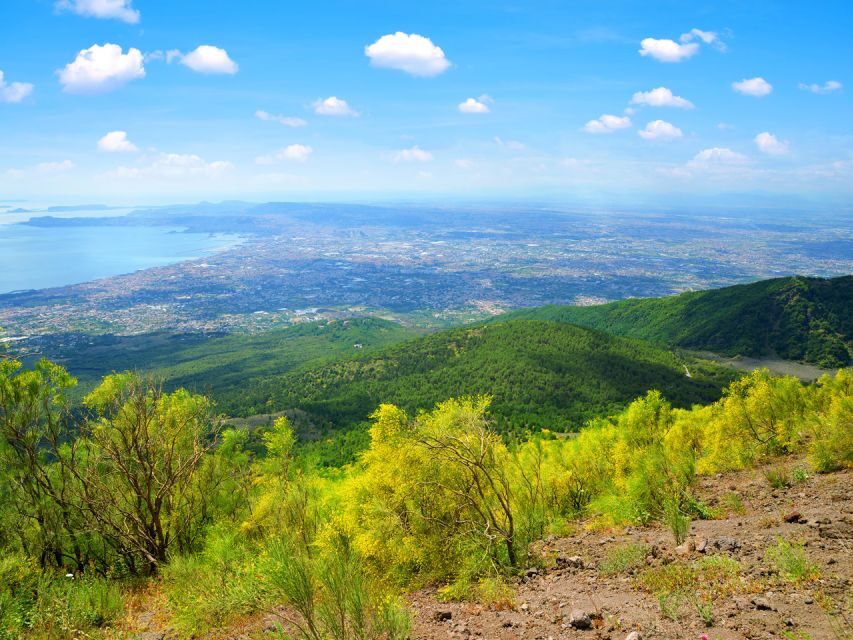 Vesuvio easy tour from Naples or Pompeii - Who Should Sign Up?