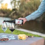 Viareggio: Marshes Electric Boat Tour with Wine Tasting - The Cultural Touch: Wine and Local Bites
