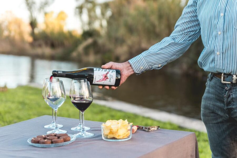 Viareggio: Marshes Electric Boat Tour with Wine Tasting - The Cultural Touch: Wine and Local Bites