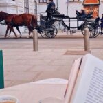 Vienna: 30-Minute Fiaker Ride in the Old Town - Exploring the Route: What to Expect